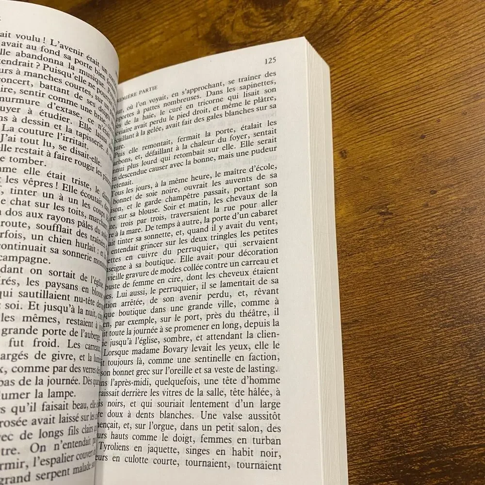 book madame bovary
